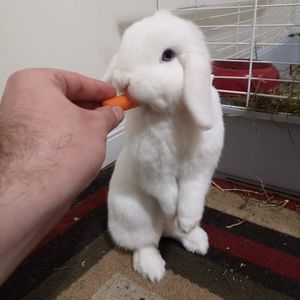 Meet your Posher, Veronica